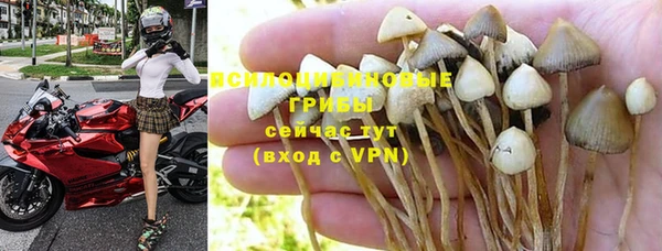 круглые Нефтегорск