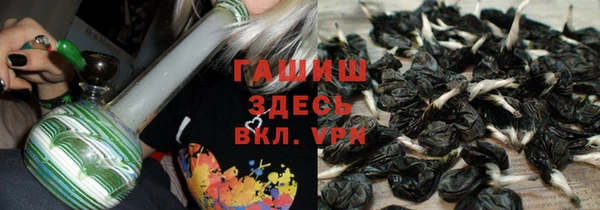 шишки Алексин