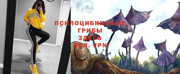 марки lsd Алексеевка