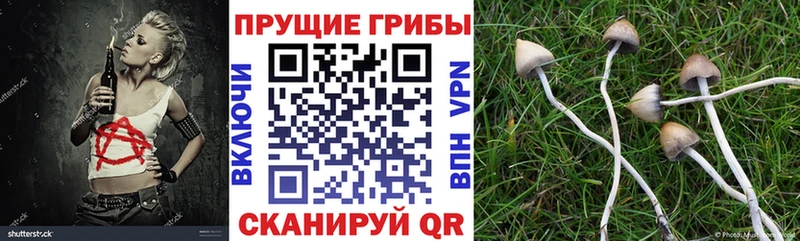 Псилоцибиновые грибы прущие грибы  Котовск 
